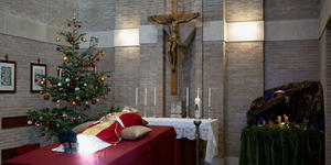 L’albero di Natale vicino alla salma di Benedetto XVI? Ha più senso di quanto credi