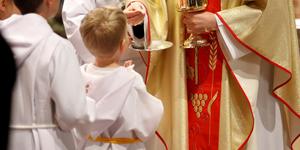 New report examines the state of priestly vocations in US