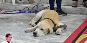 Heartbreaking images of dog grieving near Filipino bishop’s coffin