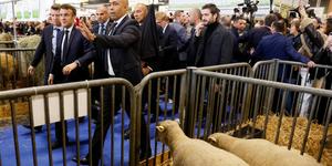 Agriculture française : une dépression sans précédent