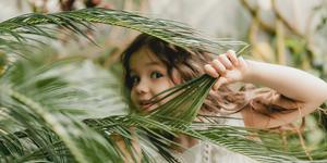 What do European countries do for Palm Sunday if they have no palms?