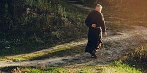 La ecología nace de la contemplación de Dios y su creación