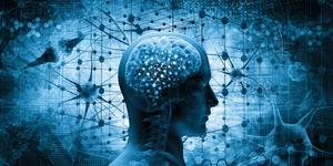 Neurociência confirma uma verdade que está no centro da nossa fé