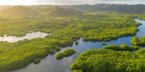 América Latina: ¿cuál es el precio de defender un río?
