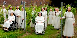 El vino y cuidado espiritual de estas monjas holandesas