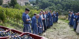 [VIDÉO] Quand le chant des moines du Barroux berce les vignes