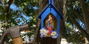 La Virgen inunda las calles de Sao Paulo