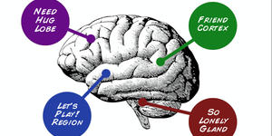 Neuroscience confirms a truth at the core of our faith
