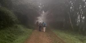 Camino z nowym rekordem! Nigdy wcześniej szlakiem nie szło tylu pielgrzymów