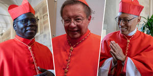 21 nowych współpracowników papieża. Sylwetki kardynałów [GALERIA]