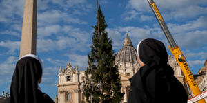 Árvore de Natal de 2023 no Vaticano será usada para fabricar brinquedos