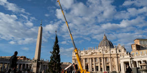 El árbol de Navidad del Papa llegó al Vaticano