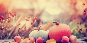Thanksgiving: Not one day, but eternity