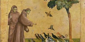 2026, une année sous le regard de saint François d’Assise
