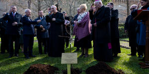 Tree in the Vatican honors the Ulma family’s “gift of life”