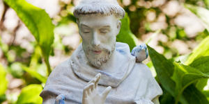 The unusual spiritual bond between saints and birds