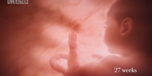 New Tennessee law requires fetal development video in school