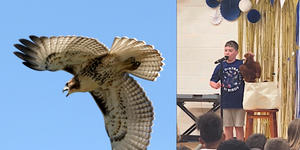 Autistic boy’s amazing bird calls are a great lesson for all