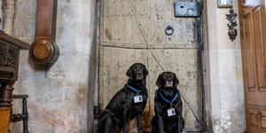Conoce a Eric y Florence los perros “sacristanes” de la Abadía de Tewkesbury