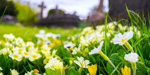 6 Bible quotes for when you’re afraid of death