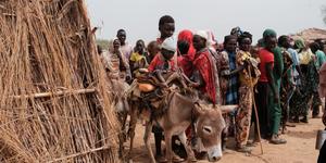 Famine spreads in Sudan, expected to increase in 2025