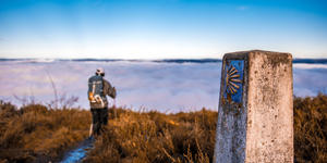 El Camino de Santiago: un hito histórico para 2024