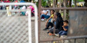 Red CLAMOR: servicio a Cristo a través del migrante