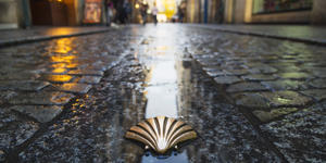 Rekordowy rok na Camino. Do Santiago de Compostela dotarło 1,5 mln osób