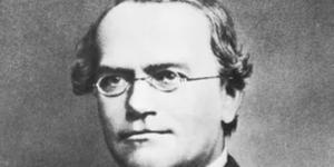 Man who invented genetics was an Augustinian (like the Pope)