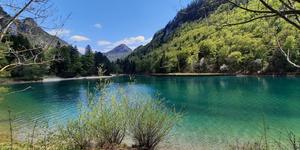 Spomladanski izlet: raziščite naravne lepote doline Završnica