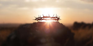 Reliques : combien d’épines de la couronne du Christ sont encore visibles