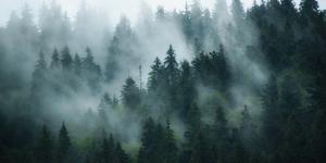 The one remedy we need: Silence