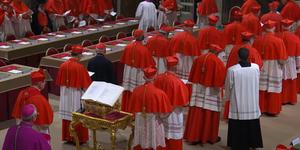 Los 133 cardenales electores entraron en cónclave