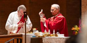 Chicago goes wild for first ever homegrown pope