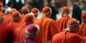 What exactly is the “extraordinary consistory?”