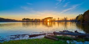 Are you actively rejecting God’s plan for creation?