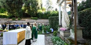 Pope praises beautiful ‘cathedral,’ calls us to conversion on environment
