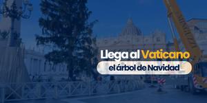 (VIDEO) Llega el arbolito de navidad al Vaticano.