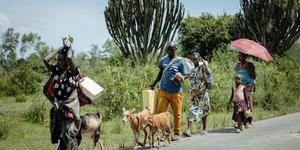 Pope Leo mentions failed peace deal in DRC