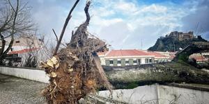 After storm damages Fátima, Pope sends message to Portugal