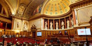 Fin de vie : le Sénat s’oppose à toute forme “d’aide à mourir”