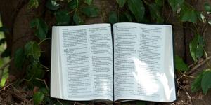 Sí, lo dice la Biblia: nadie tiene permiso para pecar
