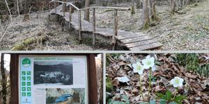 Doživetje Grabnarice: izlet po sledeh vode in zgodovinskih ostankov