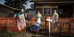 Épidémie d’Ebola en RDC : l’OMS déclare une urgence internationale