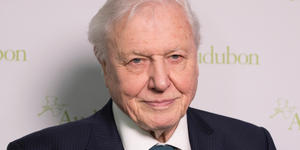 LEGO’s fantastic tribute to Sir David Attenborough at 100