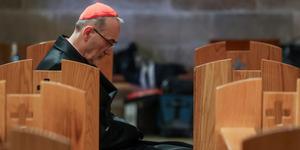 Cardenal Pizzaballa: “La violencia parece haberse convertido en el lenguaje predominante en Tierra Santa”