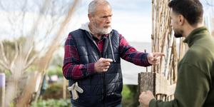 Vínculos familiares dañados, ¿cómo reconstruirlos con amor?