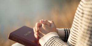 Peut-on apprendre la sagesse dans un livre ?