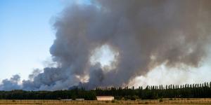 Ces sinistres incendies de forêt, cicatrices dans les esprits et dans les corps