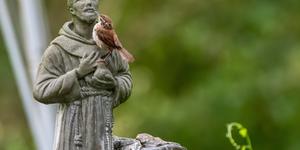 7 U.S. sites to visit for St. Francis’ Jubilee Year
